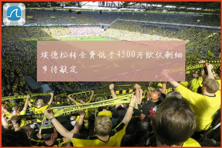 埃德松转会费低于4500万欧仅剩细节待敲定