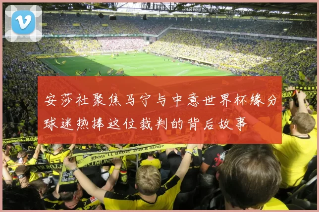 安莎社聚焦马宁与中意世界杯缘分球迷热捧这位裁判的背后故事